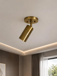 Modern Brass Ceiling Spotlight, Adjustable Gold Spot Light Fixture, Minimalist Ceiling Mount Lamp for Kitchen Hallway Bedroom