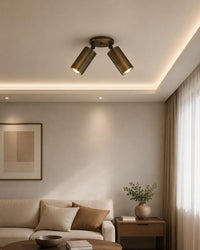 Adjustable Brass Double Spotlight Ceiling Light, Modern Flush Mount Directional Lighting Fixture for Living Room Bedroom Hallway