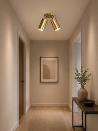Adjustable Brass Double Spotlight Ceiling Light, Modern Flush Mount Directional Lighting Fixture for Living Room Bedroom Hallway