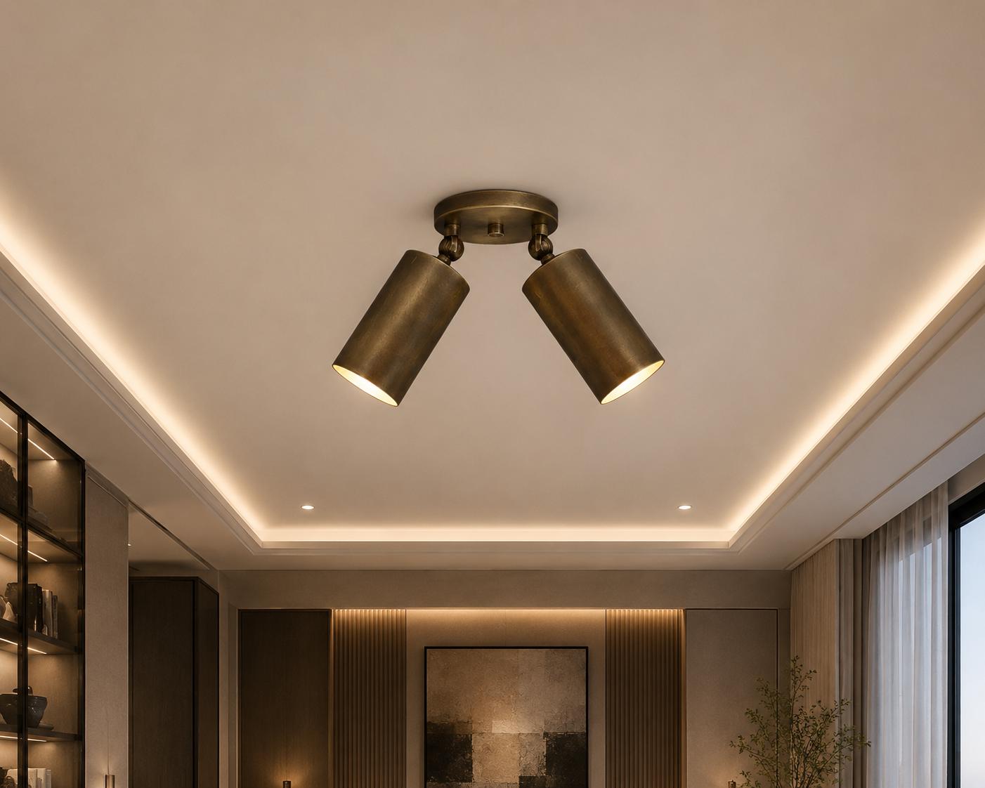Adjustable Brass Double Spotlight Ceiling Light, Modern Flush Mount Directional Lighting Fixture for Living Room Bedroom Hallway