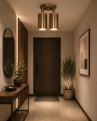 Adjustable Brass Double Spotlight Ceiling Light, Modern Flush Mount Directional Lighting Fixture for Living Room Bedroom Hallway